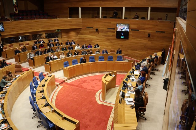 Proposicións non de lei aprobadas polo Pleno do Parlamento de Galicia o 20 de novembro de  2024